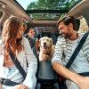 Family road trip